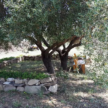 La Collina Degli Ulivi * Bari Sardo